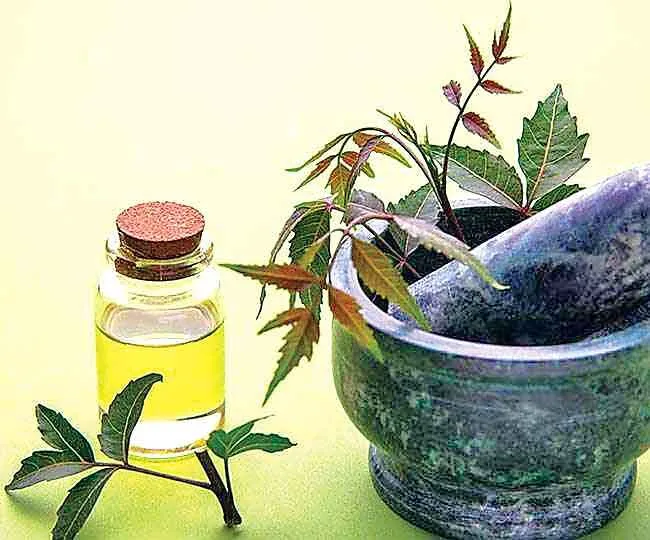 मच्छरों को मार भगाएंगे ये घरेलू उपाय
