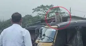 monkey made an auto driver run sachkahoon