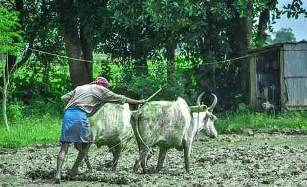 प्रगतिशील किसानों के बनेंगे सैल