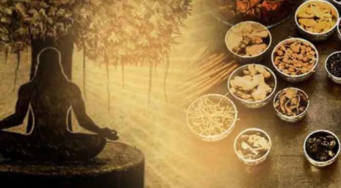आयुर्वेद दिवस पर एक नवंबर को राष्ट्रीय सेमिनार का आयोजन