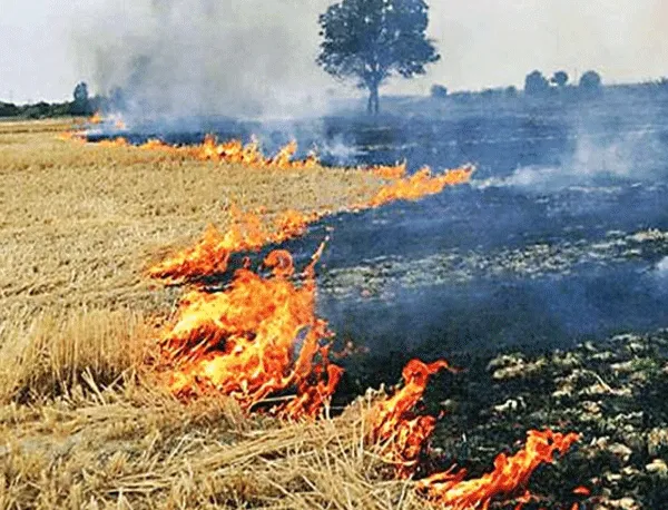 सांसों पर भारी पड़ रही लापरवाही