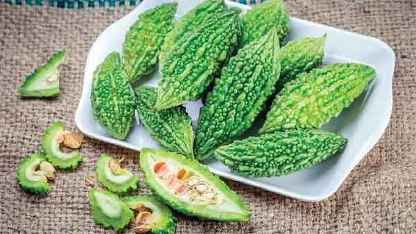 करेला: ‘जहर ही जहर को मारता है’