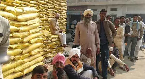 पहले मौसम की मार, अब डीएपी की दरकार