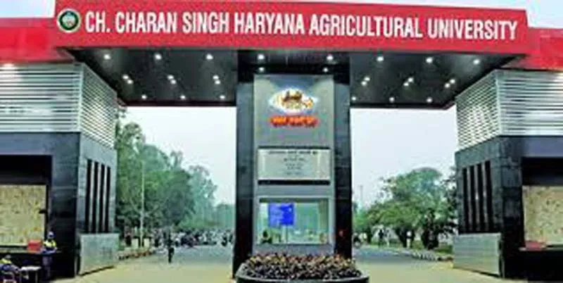 बेरोजगारों के लिए स्वरोजगार का पर्याय बना एचएयू