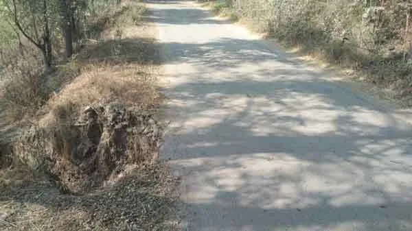 सड़क किनारे बने गड्ढ़े बन सकते हैं मौत का कारण