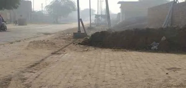 स्वच्छता अभियान को पलीता लगा रहे गंदगी के ढ़ेर