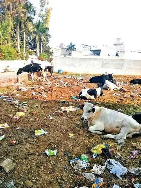 प्राथमिक सुविधाओं को तरस रहा ‘नाभा’
