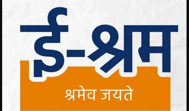 14 करोड़ से अधिक ई. श्रम कार्ड जारी