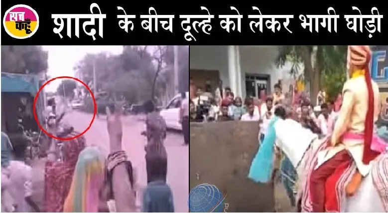अजब-गजब: घोड़ी पर सवार दूल्हे के पास फोड़ दिया पटाखा, फिर घोड़ी दुल्हे को लेकर हो गई फरार