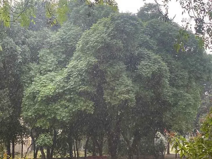 फतेहाबाद में बरसात के साथ गिरे ओले