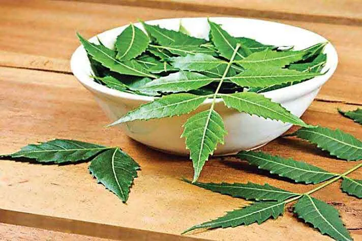 ‘खाने को बनाएं अपनी दवा’