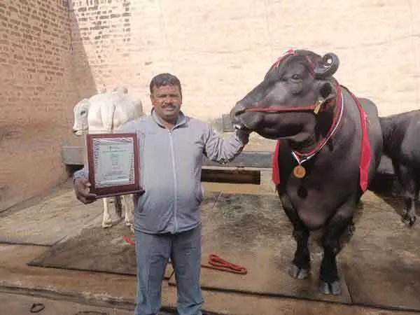 गतौली के रूस्तम ने जीता कृषक रत्न अवार्ड