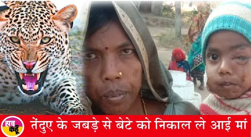 क्या बात है: मां अपने 8 साल के बेटे को तेंदुए के मुंह से निकाल लाई