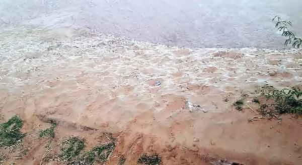 अंचल में कड़ाके की ठंड का दौर पारा जमाव बिंदु पर पहुंचा