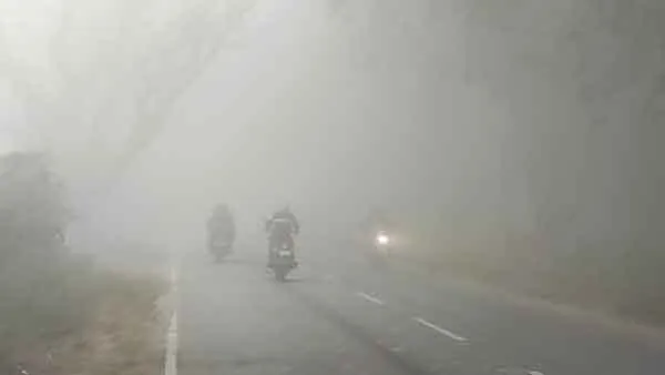 मौसम ने ली करवट, बढ़ी ठंड, दिनभर नहीं हुए सूर्य के दर्शन