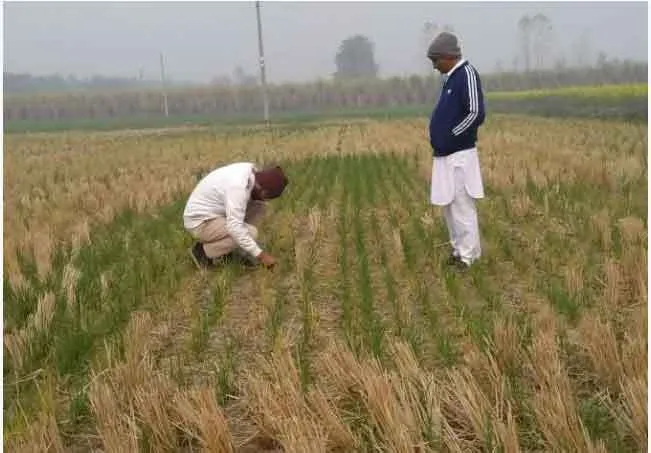 हरियाणा में रूक रूक कर हुई बारिश ने बढ़ाई ठंड,फसलों को लाभ