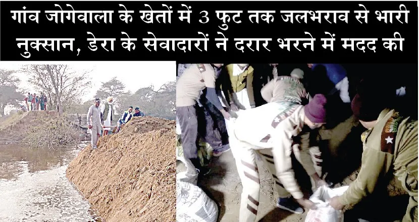 सेमनाला टूटने से खेतों व ढाणियों में भरा पानी, राहत कार्यों में जुटे डेरा श्रद्धालु