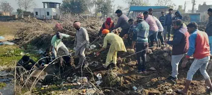 डेरा श्रद्धालुओं बचाई गाय की जान, दलदल से निकाला बाहर