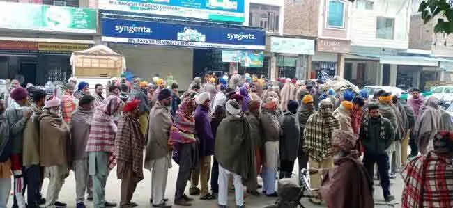 कड़ाके की ठंड में खाद के लिए लाइनों में लगने को मजबूर किसान : कु. सैलजा