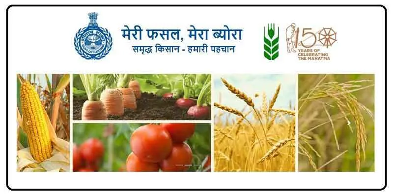 मेरी फसल-मेरा ब्यौरा पोर्टल दो दिन रहेगा बंद