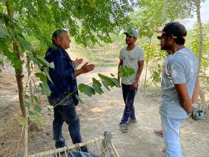 45 वर्षों में दो करोड़ से अधिक पेड़ लगा बने मिसाल