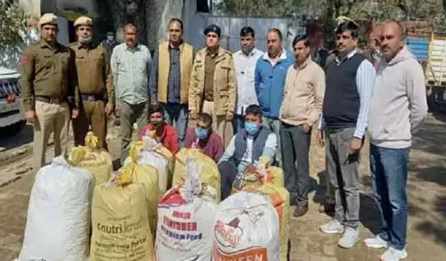 झज्जर में 30 लाख के गांजे सहित तीन आरोपी गिरफ्तार