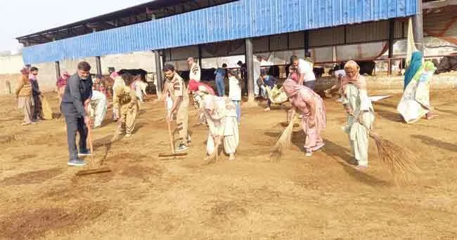 पूज्य गुरु जी के आगमन की खुशी में चलाया गौशाला में सफाई अभियान