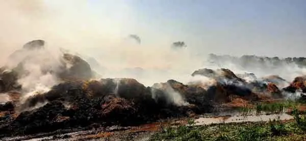 दस हजार क्विंटल पराली की गांठों के स्टॉक में लगी आग