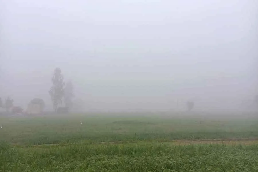 हरियाणा में कहीं-कहीं गरज के साथ ओलावृष्टि के आसार