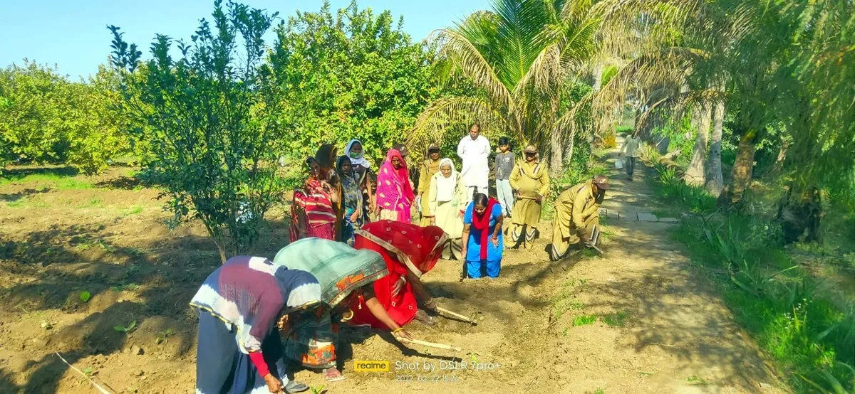सतगुरु के दर की सेवा से मिलती है असीम शांति