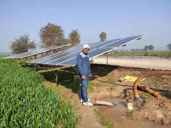 फलों की खेती से सुबेर सिंह पालवा ने लिखी कामयाबी की इबारत
