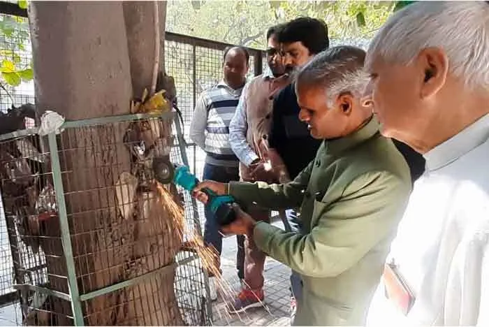 वृक्षों को नया जीवन दे रहे कर्णनगरी के ‘ट्री गार्ड मैन’