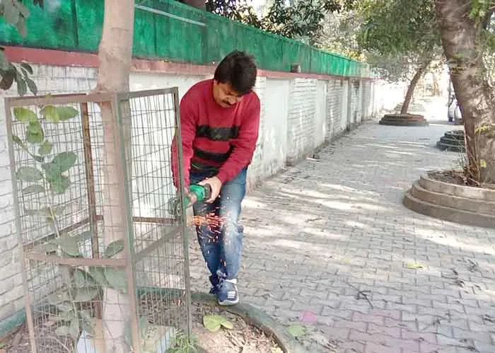 Tree Guard Man sachkahoon