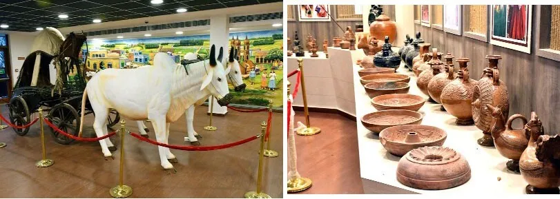 कृषि विज्ञान संग्रहालय: वर्तमान व भावी पीढ़ी को गौरवमयी इतिहास की मिलेगी जानकारी