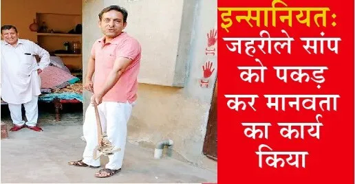 डेरा श्रद्धालु वेद पूनियां ने पकड़ा जहरीला सांप
