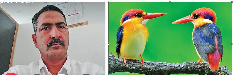 वैज्ञानिकों ने पक्षियों की प्रजातियों को बचाने पर दिया जोर