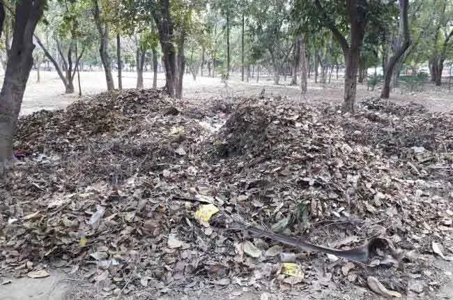 टाउन पार्क बदहाल, अधिकारी नहीं दे रहे ध्यान