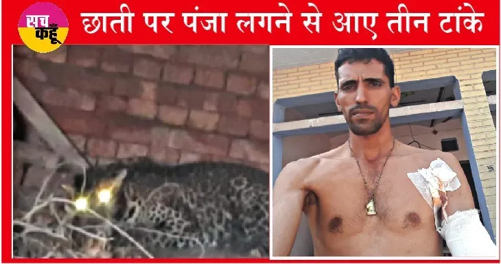 फतेहाबाद: डेरा आनुयायी वीरेंद्र इन्सां ने अपनी जान की बाजी लगाकर तेंदुए का किया रेस्क्यू ऑपरेशन