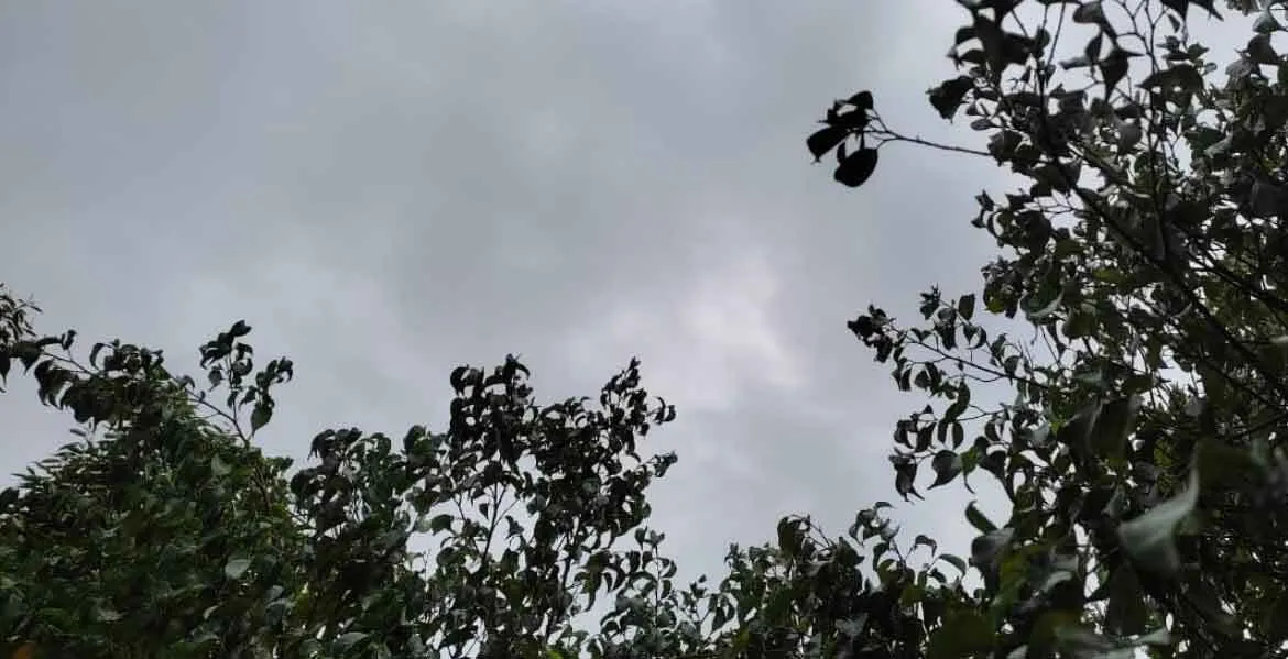 हरियाणा, दिल्ली में गर्मी, हिमाचल, महाराष्ट्र, छत्तीसगढ़ में हो सकती है बारिश