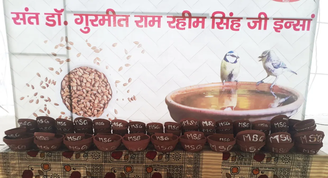 परिंदों की सेवा करने की शपथ, डेरा अनुयायी छतों पर रखेंगे दाना पानी