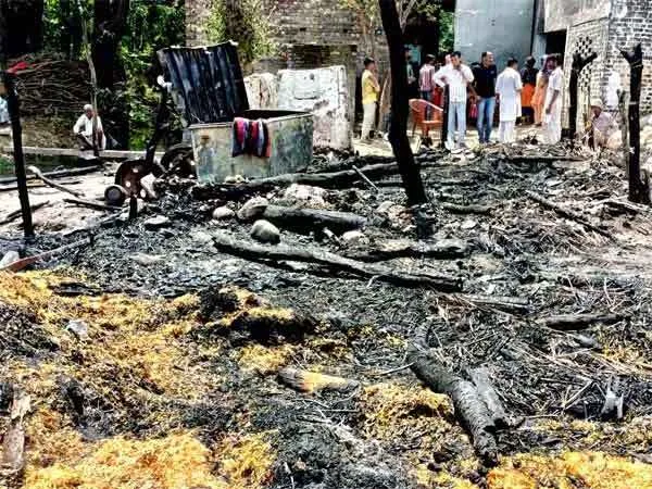 अज्ञात कारणों से लगी लाग, दर्जन मवेशियों की मौत