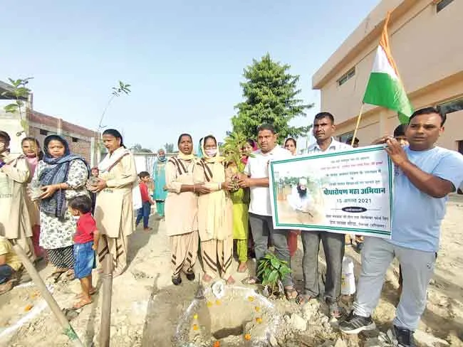 Environment protection sachkahoon