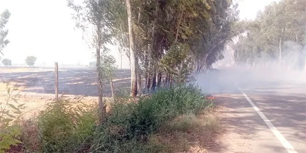 सिसाय, राजपुरा और माढ़ा गांव के दर्जनों किसानों के फाने स्वाह, दो किसानों के गेहूं भी जल कर राख