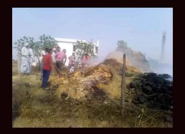 आग लगने से तूड़ी के कुप्पों सहित 50 एकड़ नाड़ जला