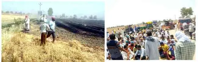 दमकल की व्यवस्था न होने से किसानों में रोष टिब्बी-रावतसर सड़क मार्ग पर लगाया जाम