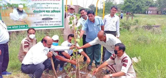plantation drive sachkahoon