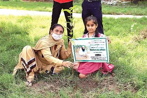 plantation drive sachkahoon