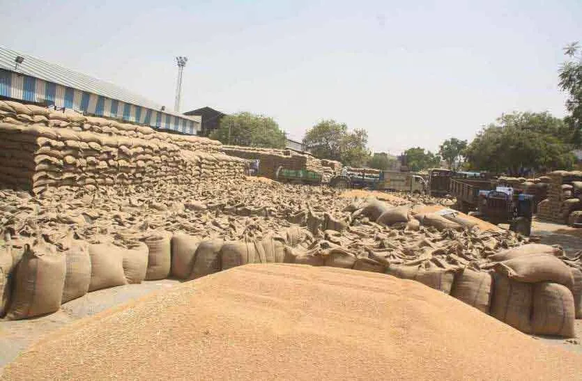 गेहूं की सुचारू खरीद के लिए जिला में बनाए 14 अतिरिक्त खरीद केंद्र