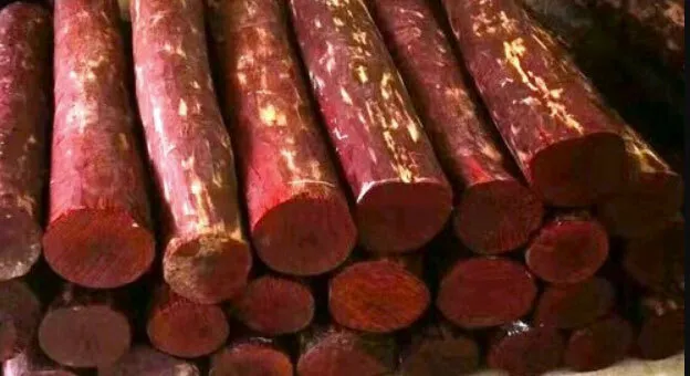 तमिलनाडु में साढ़े सात करोड़ का लाल चंदन जब्त