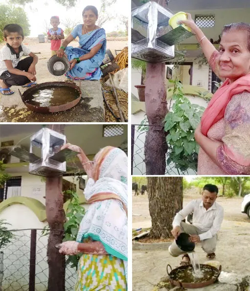 चिलचिलाती तेज धूप में बेजुबान पंछियों के लिए महाराष्ट्र की साध-संगत ने बांधे परिण्डे